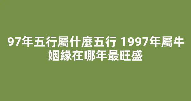 97年五行屬什麼五行 1997年屬牛姻緣在哪年最旺盛